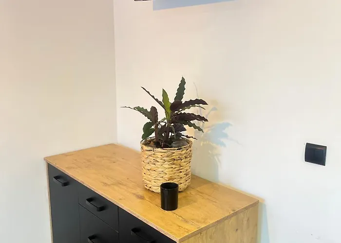 Apartment Nowoczesny Maly Nr 3